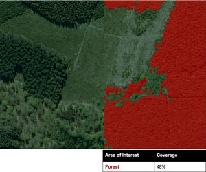 software de análise de imagens