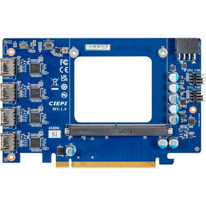 placa gráfica PCI Express 1