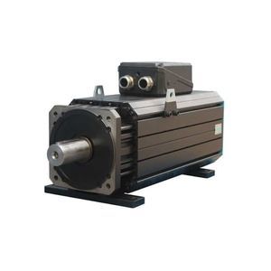 servomotor autoventilado