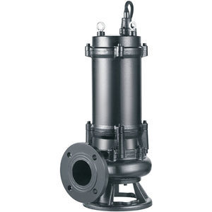 bomba de rotor 1