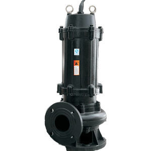 bomba de rotor 1
