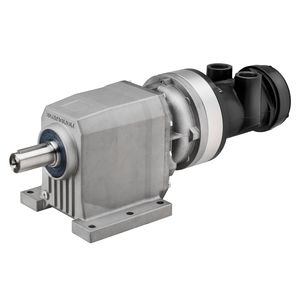 motor pneumático de engrenagem
