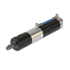motor pneumático de palhetas