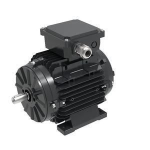 motor brushless