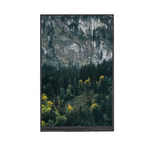 módulo de visualização TFT LCD