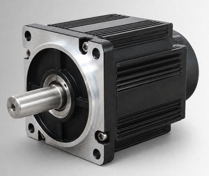 motor sem escovas 1
