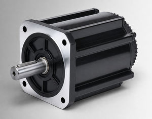 motor BLDC 1