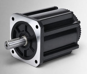 motor sem escovas 1