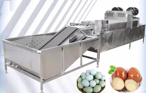 lavadora de alimentos para ovos