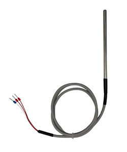 sensor de temperatura RTD 1