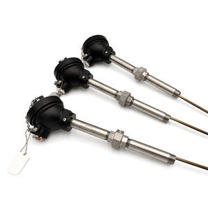 sensor de temperatura RTD