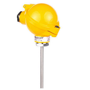 sensor de temperatura RTD 1