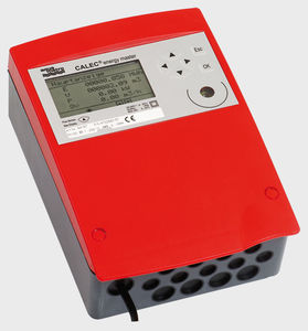 雷米卡能源公司