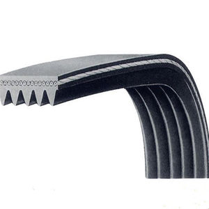 correia dentada
