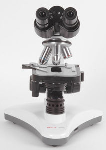 microscópio óptico