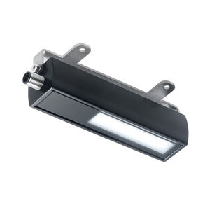 luz
