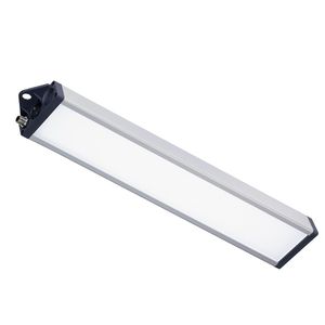 luz
