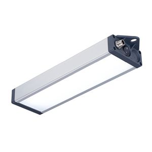luz