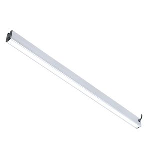 luz