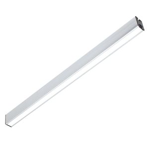 luz