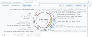 software de gestão de dados