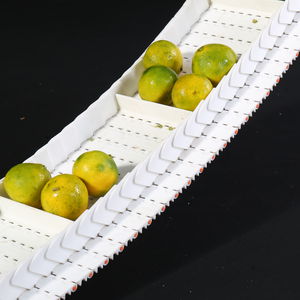 correia transportadora modular