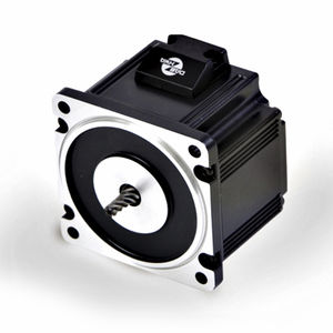 motor sem escovas