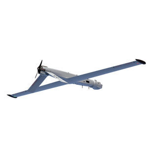 drone de asas fixas
