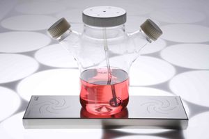 agitador de laboratório magnético 1