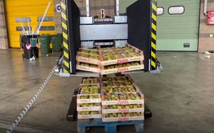 trocador de paletes automático