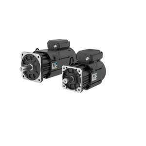 servomotor trifásico 1
