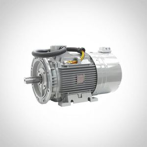 motor síncrono