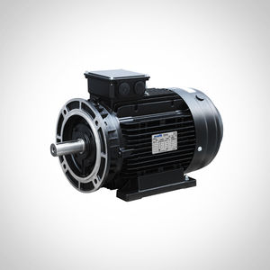 motor de indução