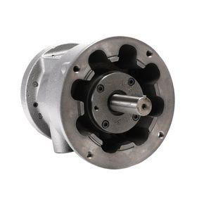 motor pneumático de palhetas 1