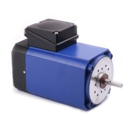 motor de indução 1