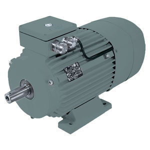 motor assíncrono 1