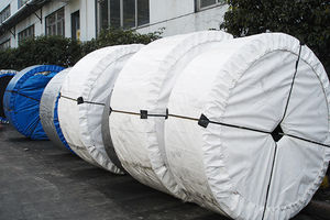 correia transportadora em nylon 1