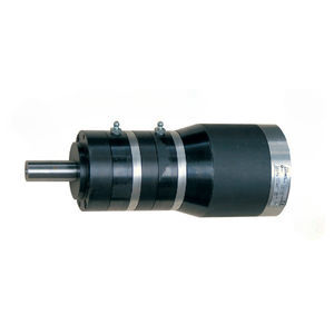 motor pneumático de palhetas 1