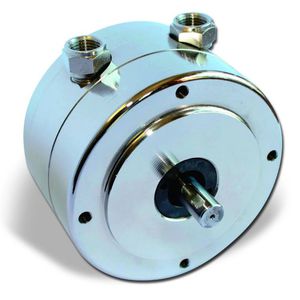 motor pneumático de palhetas 1