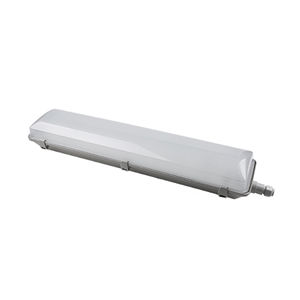 luz