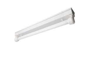 luz
