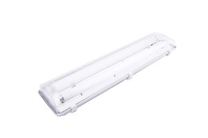 luz