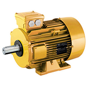motor ATEX 1