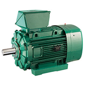 motor ATEX 1