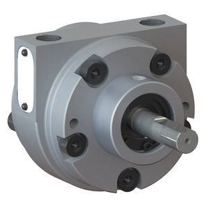 motor pneumático de palhetas 1