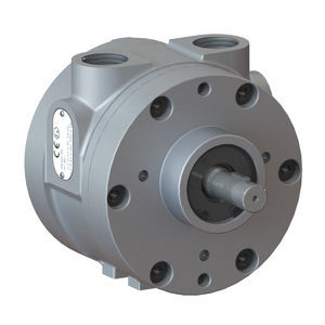 motor pneumático de palhetas 1