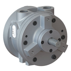 motor pneumático de palhetas 1
