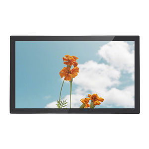 monitor TFT-LCD