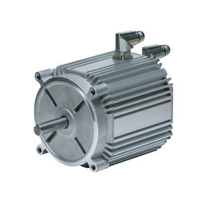 motor de ímãs permanentes 1