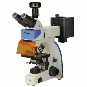 microscópio óptico